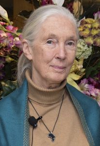 Jane Goodall is one of the calmest scientists I have ever met